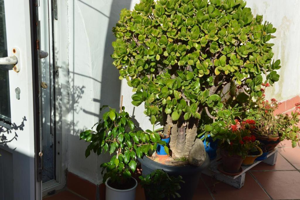 B&B Spiraglio Syracuse Luaran gambar